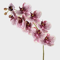 Imagem de HASTE ORQUÍDEA 3D X9 EM PVC BURGUNDY 46406 GRILLO - Grillo Ltda