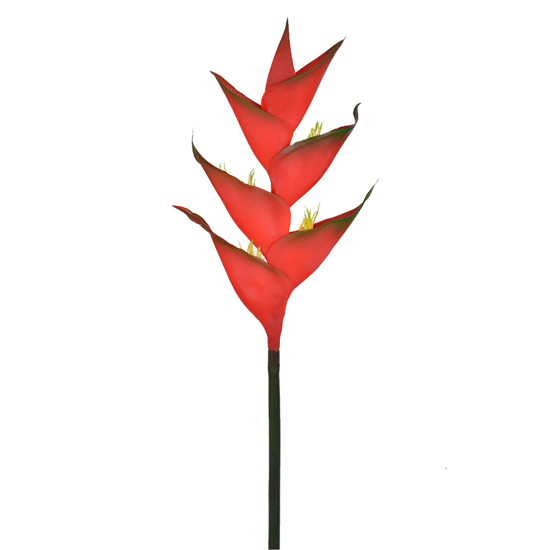 Imagem HASTE HELICONIA TROPICAL VERMELHO 41192 GRILLO