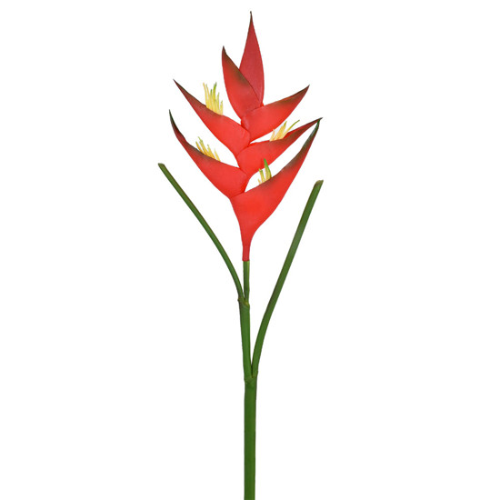 Imagem HASTE HELICONIA TROPICAL VERMELHO 41191 GRILLO