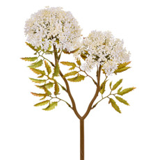 Imagem de HASTE BOTÃO HORTENSIA X2 CREME 49060 GRILLO - Grillo Ltda