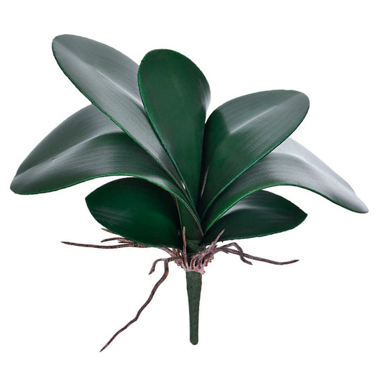 Imagem FOLHA ORQUIDEA X7 VERDE 26X9CM - GRILLO 43678