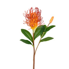 Imagem de HASTE PROTEA X2 VERMELHO 14X60CM GRILLO 51882 - Grillo Ltda