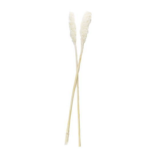 Imagem FOLHAGEM ARTIFICIAL COR BRANCO 80CM - GRILLO 54791