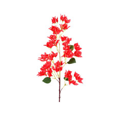Imagem de HASTE BOUGAINVILLE X6 VERMELHO 22X99CM GRILLO 55353 - Grillo Ltda