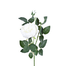 Imagem de HASTE PEONIA X3 CREME 18X77CM - GRILLO 54549 - Grillo Ltda