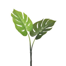 Imagem de HASTE COSTELA DE ADAO X2 VERDE 28X68CM GRILLO 51758 - Grillo Ltda