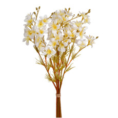 Imagem de RAMALHETE DE PRIMULA X6 CREME 11X36CM - GRILLO 53576 - Grillo Ltda