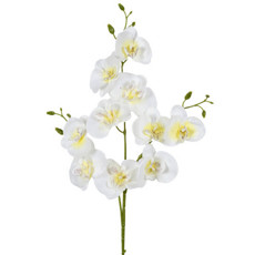 Imagem de HASTE PERMANENTE DE ORQUÍDEA EM PLÁSTICO E CETIM CREME 75X10 CM - GRILLO 56279 - Grillo Ltda