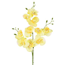 Imagem de HASTE PERMANENTE DE ORQUÍDEA EM PLÁSTICO E CETIM AMARELO 75X10 CM - GRILLO 56279 - Grillo Ltda