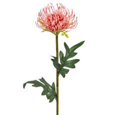 Imagem de HASTE DECORATIVA PERMANENTE DE LICOSPERMUM ROSA EM PLÁSTICO 56X11 CM - GRILLO - Grillo Ltda