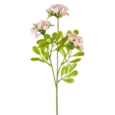 Imagem de HASTE DECORATIVA PERMANENTE DE SUCULENTA ROSA EM PLÁSTICO 64X15 CM - GRILLO - Grillo Ltda