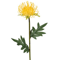 Imagem de HASTE DECORATIVA PERMANENTE DE LICOSPERMUM AMARELO EM PLÁSTICO 56X11 CM - GRILLO - Grillo Ltda