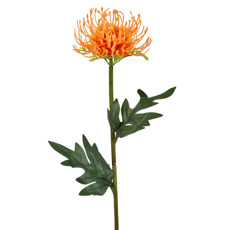 Imagem de HASTE DECORATIVA PERMANENTE DE LICOSPERMUM LARANJA EM PLÁSTICO 56X11 CM - GRILLO - Grillo Ltda