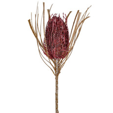 Imagem de HASTE PERMANENTE DE PROTEA DO CAMPO ROSA ESCURO EM PLÁSTICO MOLDÁVEL 65X14CM GRILLO - Grillo Ltda