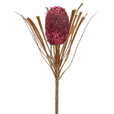 Imagem de HASTE DECORATIVA PERMANENTE DE PROTEA ROSA ESCURO EM PLÁSTICO MOLDÁVEL 70X9CM GRILLO - Grillo Ltda