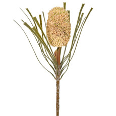 Imagem de HASTE DECORATIVA PERMANENTE DE PROTEA BEGE EM PLÁSTICO MOLDÁVEL 70X9 CM - GRILLO - Grillo Ltda