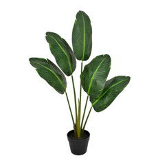 Imagem de PLANTA STRELITZIA COM FOLHAS VERDE EM PLÁSTICO TOQUE REAL 75X85 CM - GRILLO - Grillo Ltda