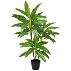 Imagem de PLANTA DECORATIVA DRACENA COM FOLHAGEM VERDE EM PLÁSTICO TOQUE REAL - GRILLO - Grillo Ltda