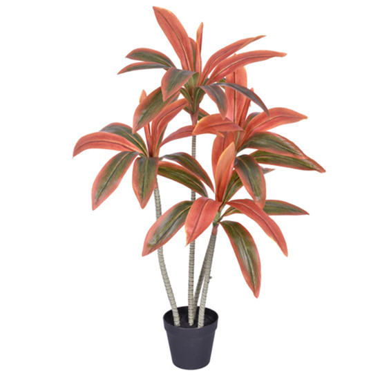 Imagem PLANTA DECORATIVA DRACENA ESTRUTURA EM PLÁSTICO E FOLHAS EM PVC 98X45 CM - GRILLO