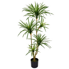 Imagem de PLANTA DECORATIVA DRACENA COM FOLHAS VERDES TOQUE REAL EM PLÁSTICO 135X50 CM - GRILLO - Grillo Ltda