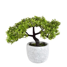 Imagem de ARRANJO DE BONSAI EM PLÁSTICO COM VASO EM CIMENTO E ACABAMENTO RÚSTICO - GRILLO - Grillo Ltda