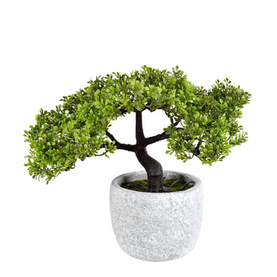 Imagem ARRANJO DE BONSAI EM PLÁSTICO COM VASO EM CIMENTO E ACABAMENTO RÚSTICO - GRILLO