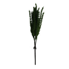 Imagem de HASTE DE FOLHAGEM PERMANENTE DECORATIVA VERDE 48X5 CM -  GRILLO 58972 - Grillo Ltda