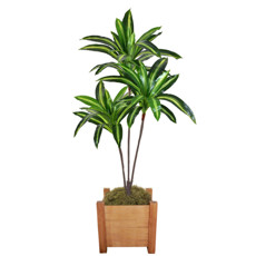Imagem de PLANTA DRACENA VERDE DECORATIVA EM PLÁSTICO COM FOLHAS MOLDÁVEIS 120X80CM - GRILLO - Grillo Ltda