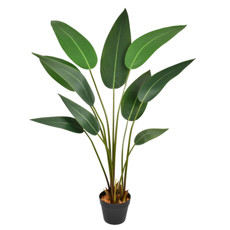 Imagem de HASTES DE FOLHAS DE STRELITZIA REAL VERDE EM PLÁSTICO 140X62CM - GRILLO - Grillo Ltda