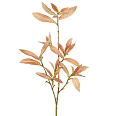 Imagem de HASTE DECORATIVA DE FOLHAS DE SKIMMIA LATTE OUTONO EM PLÁSTICO 94X13CM - GRILLO - Grillo Ltda