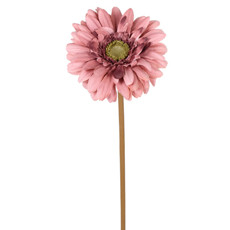 Imagem de HASTE DECORATIVA DE GERBERA AMEIXA OUTONADA EM PLÁSTICO MOLDÁVEL 48X10CM - GRILLO - Grillo Ltda