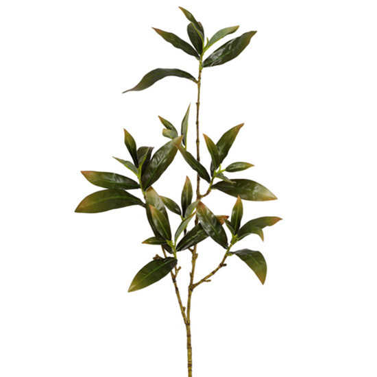 Imagem HASTE DECORATIVA DE FOLHAS DE SKIMMIA VERDE OUTONO EM PLÁSTICO 94X13CM - GRILLO