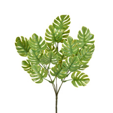 Imagem de BUQUÊ DECORATIVO DE COSTELA DE ADÃO VERDE EM PLÁSTICO MOLDÁVEL 33X14CM - GRILLO - Grillo Ltda