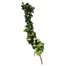 Imagem de PENDENTE DECORATIVO DE FOLHAGENS VERDES E BERRIES BRANCAS EM PLÁSTICO - MAGIZI - Yangzi Brasil Corporation S A 