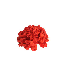 Imagem de ESCULTURA DECORATIVA EM FORMATO DE CORAL EM RESINA VERMELHA 9X20X20CM - LUCATTI - Lucatti Artes E Decoracoes Ltda