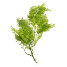 Imagem de GALHO FOLHAS DECORATIVO COR VERDE DE PLÁSTICO 95CM - GRILLO 58400 - Grillo Ltda