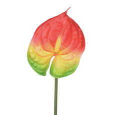 Imagem de HASTE DECORATIVA DE ANTÚRIO VERMELHO EM PLÁSTICO MOLDÁVEL 70X15CM - GRILLO - Grillo Ltda
