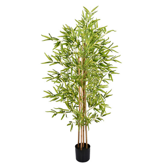 Imagem PLANTA BAMBU TOQUE REAL VERDE COM 4 TRONCOS NATURAIS E POTE PLÁSTICO PRETO - GRILLO
