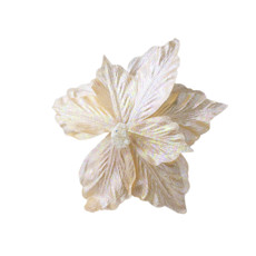 Imagem de POINSÉTIA DECORATIVA COR BEGE PEROLA COM GLITTER 27X30CM - CROMUS  - Cromus Embalagens Ind. E Com. Ltda