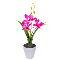 Imagem de ARRANJO DECORATIVO DE ORQUÍDEA DENDROBIUM ROSA ESCURO DE PLÁSTICO NO POTE - GRILLO - Grillo Ltda