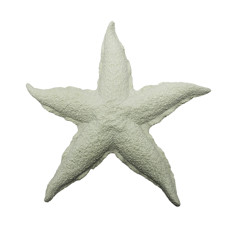 Imagem de ENFEITE  DE MESA ESTRELA DO MAR BRANCA DE RESINA 19X19CM - ENTRE MARES - Entre Mares Ind E Com De Artesanatos Socied Ltda