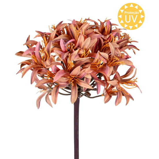 Imagem HASTE DECORATIVA DE AGAPANTHUS MARROM OUTONADO DE PLÁSTICO MOLDÁVEL - GRILLO