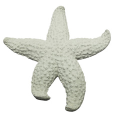 Imagem de ENFEITE  DE MESA ESTRELA DO MAR BRANCA DE RESINA 19X19CM - ENTRE MARES - Entre Mares Ind E Com De Artesanatos Socied Ltda