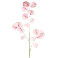 Imagem de HASTE DECORATIVA DE EUCALIPTO TOQUE REAL ROSA DE PLÁSTICO MOLDÁVEL 42X23CM - GRILLO - Grillo Ltda