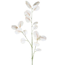 Imagem de HASTE DECORATIVA DE EUCALIPTO TOQUE REAL BEGE DE PLÁSTICO MOLDÁVEL 42X23CM - GRILLO - Grillo Ltda