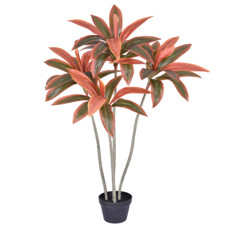 Imagem de PLANTA DRACENA DECORATIVA VERDE OUTONADA COM FOLHAS DE PVC 130X40CM - GRILLO - Grillo Ltda